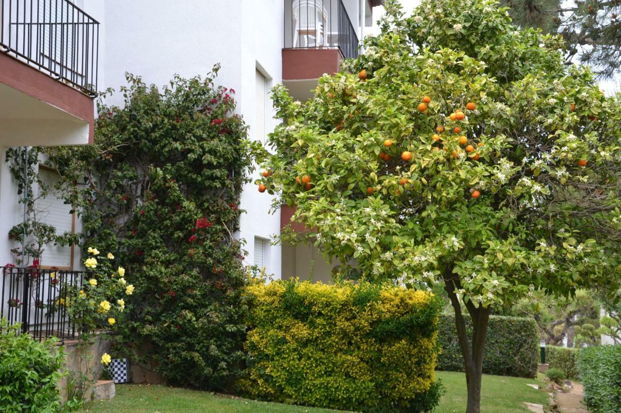 Apartamento Recien Reformado A 300 Metros Del Mar 칼레냐 데 팔라푸르헬 외부 사진