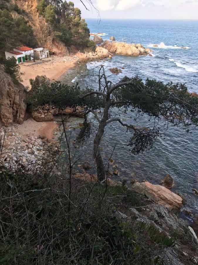Apartamento Recien Reformado A 300 Metros Del Mar 칼레냐 데 팔라푸르헬 외부 사진